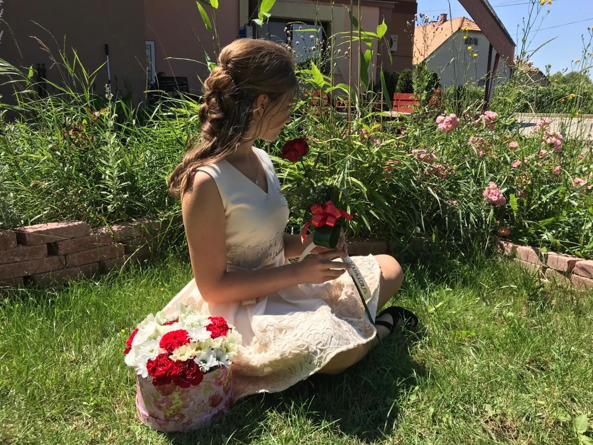 Korona Panzio Bed and Breakfast Blh nad Iplom Εξωτερικό φωτογραφία